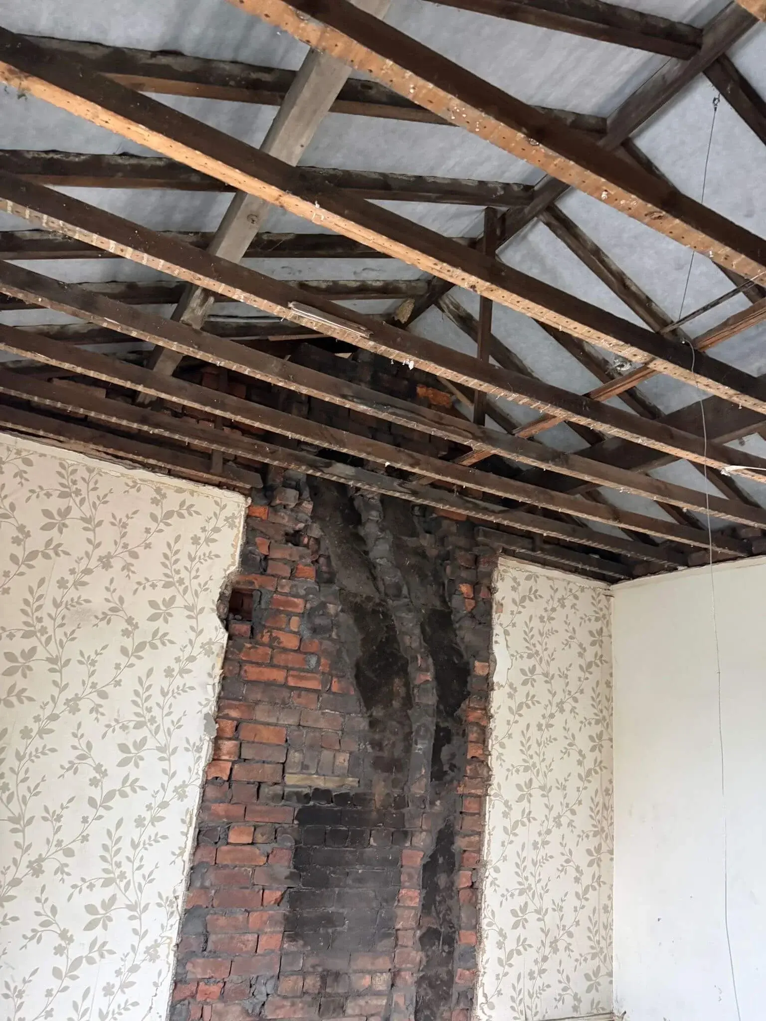 New renovation image 4